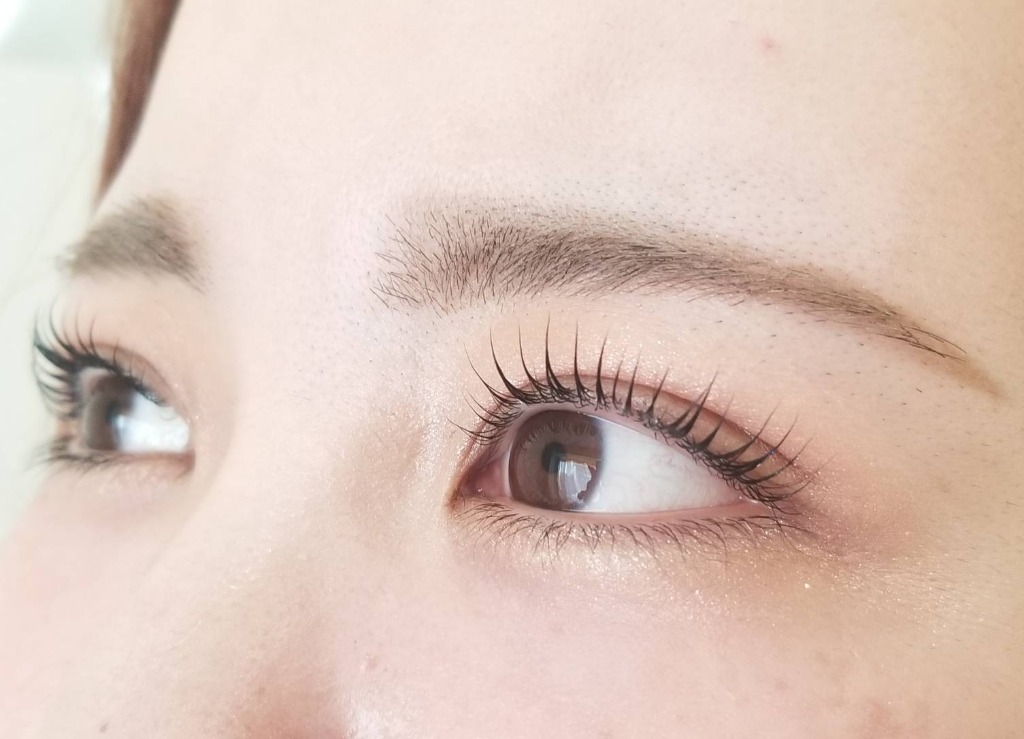 ラッシュリフト仕上がりイメージ